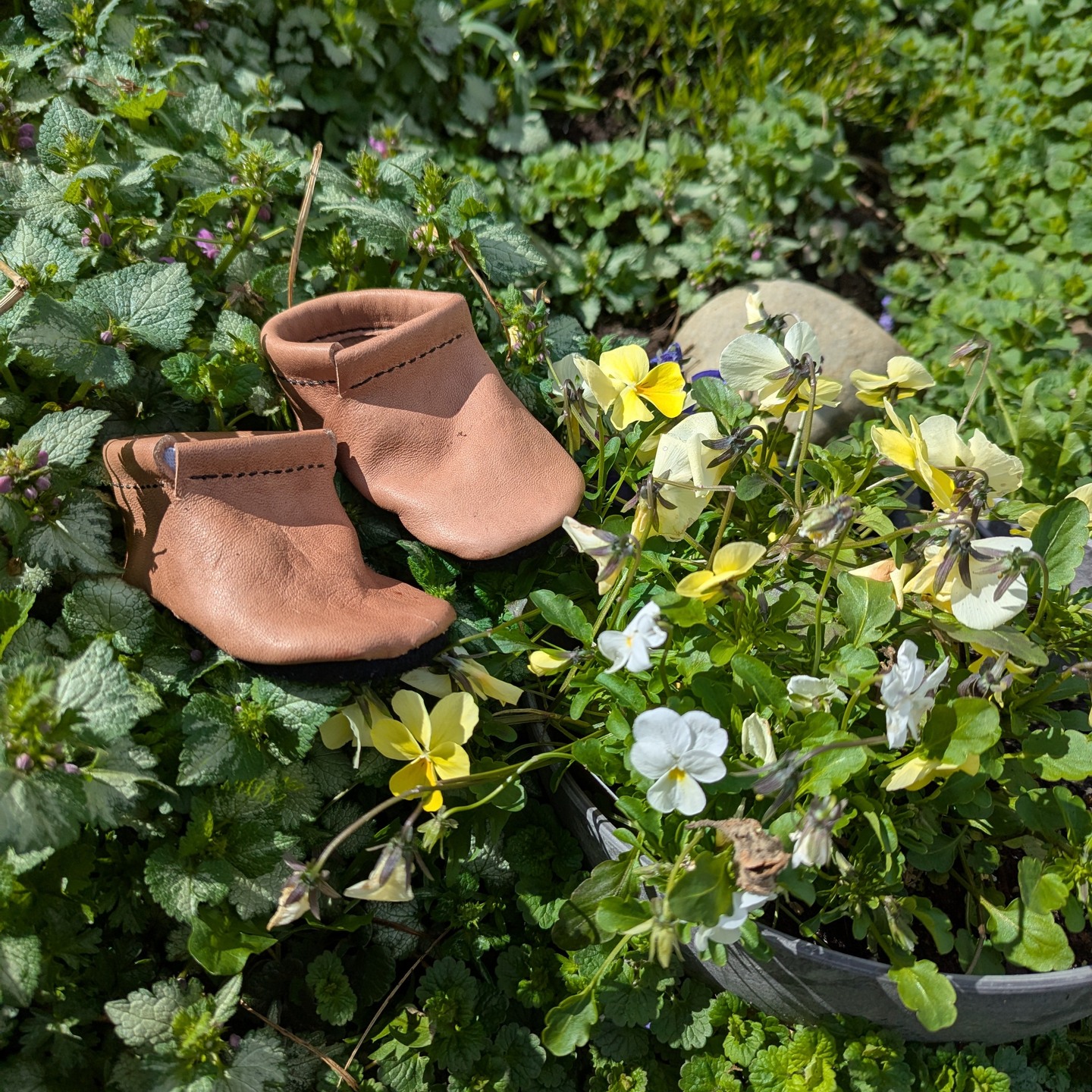 The flowers are out!