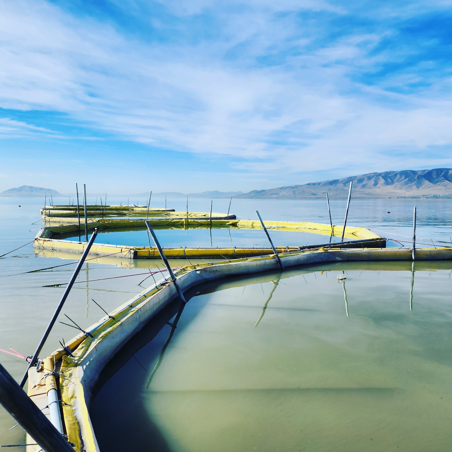 Our experimental Limnocorrals on Utah Lake