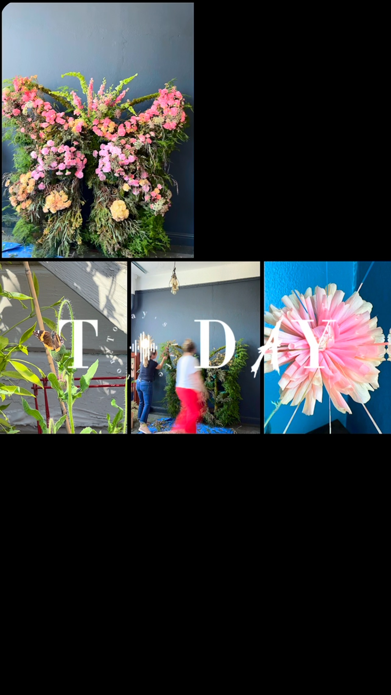 Our small urban flower farm is growing its roots here in Noe Valley- and looking 👀 so forward to the year ahead!
#sanfrancisco #sf #ecoeventplanners #sanfranciscofarmexchange #sanfranciscoflorist #urbanfarming #urbanflowerfarm #farmerflorist #flowers #event #eventflowers #events #sanfranciscoworld #noevalley #noevalleyflowers #sfgrown #youdeserveit