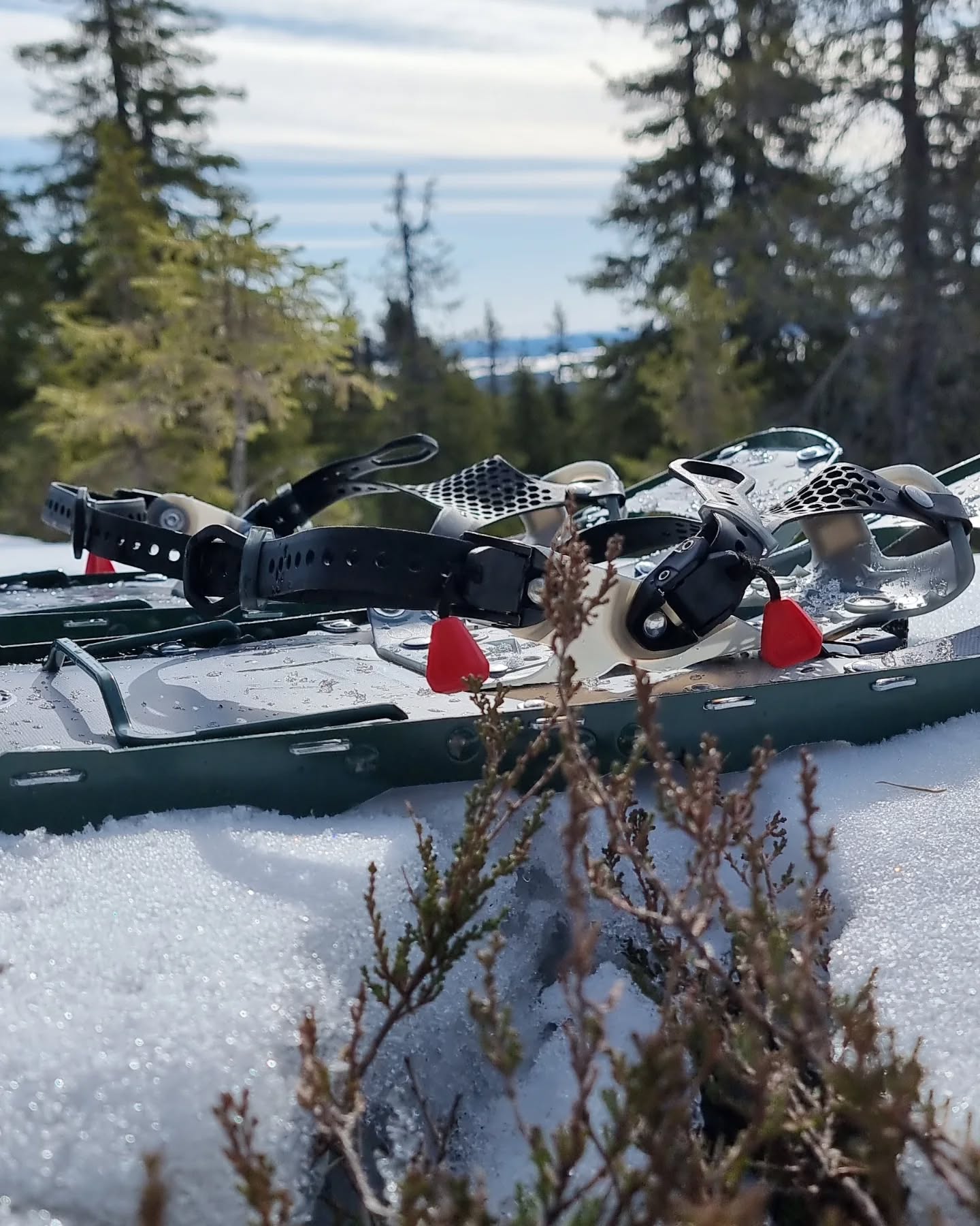 Behind the scenes: mitä me oppaat teemme, kun kausi vaihtuu ja edessä on vain toimistohommia? Pakkaamme reppuun Talonpöydän suklaakakkua ja suuntaamme Riisitunturille pitämään palaveria luonnon helmassa. Toimistopäivä parhaimmillaan!
#riisitunturi #laplandguides #luonto #palaveri #luontokokous #retkeily #suomenluonto #suklaakakku #MunPolku
Behind the scenes: what do we guides do when the season is changing and it's all office work ahead? We pack some Talonpöytä’s chocolate cake in our backpacks and head to Riisitunturi for a meeting in the heart of nature. Office days at their best!
#riisitunturinationalpark #laplandguides #naturemeeting #hiking #outdooroffice #finnishnature #visitlapland #mytrailfinland #chocolatecake #arcticlife