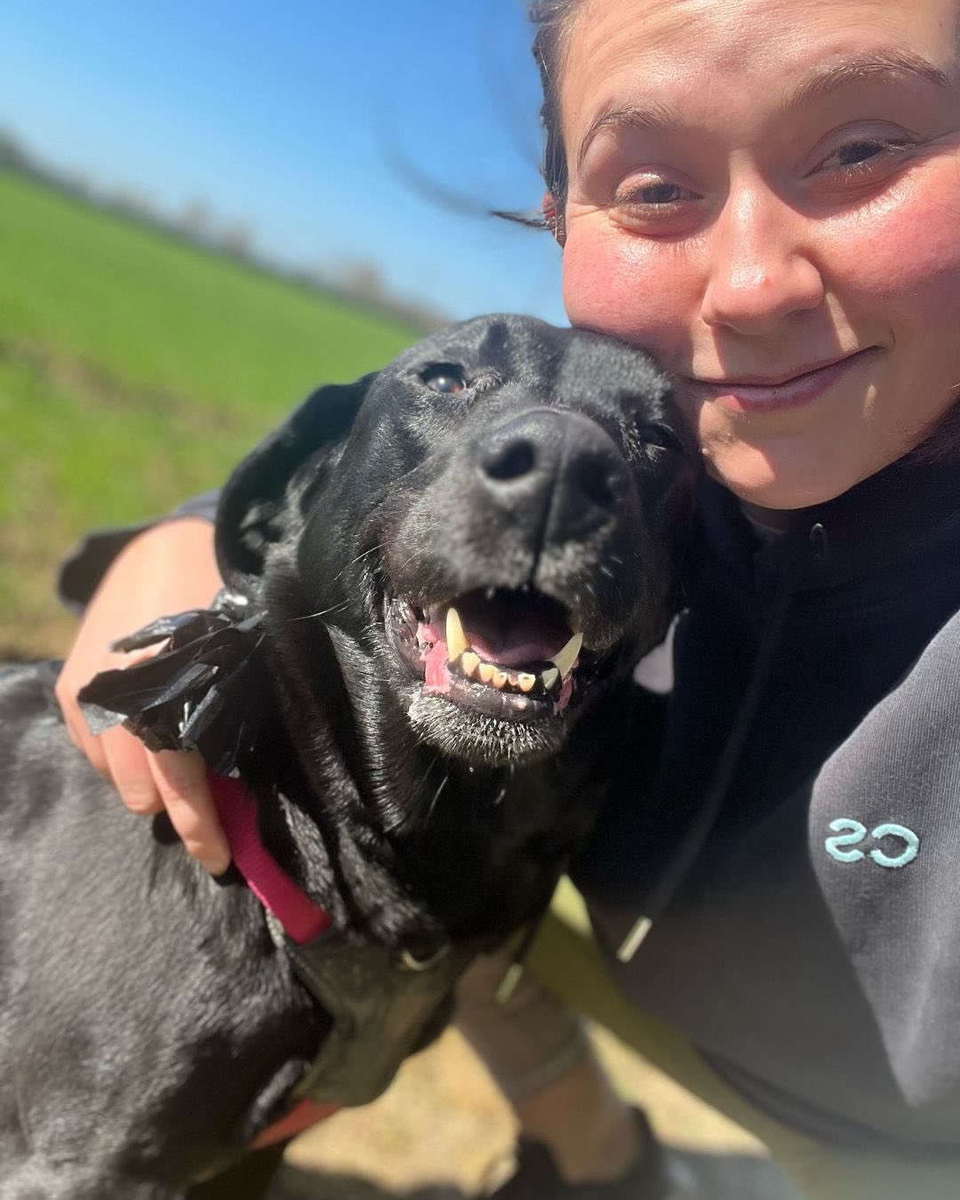 Life Lately 👇🏻👇🏻
1. Sunshine walks with Indie🌞
2. Rocking funky trousers and sipping cider on my bestie’s balcony 🍺
3. Summer is officially here 🙌🙌
4. Currently obsessed with beef tomatoes—can’t get enough 🍅
5. My bestie lives in London and I’m in love with her adorable street 🥹
6.Iced coffee has become a daily essential ☕️
7. My friend got married and my heart is still bursting 💖
8. Just started a new obsession: decorating my Kindle with stickers 📚
9. Big sunnies are my vibe—they make me feel extra sassy 😎
10. Perks of being a youth worker? You get to be a big kid every day 🛴