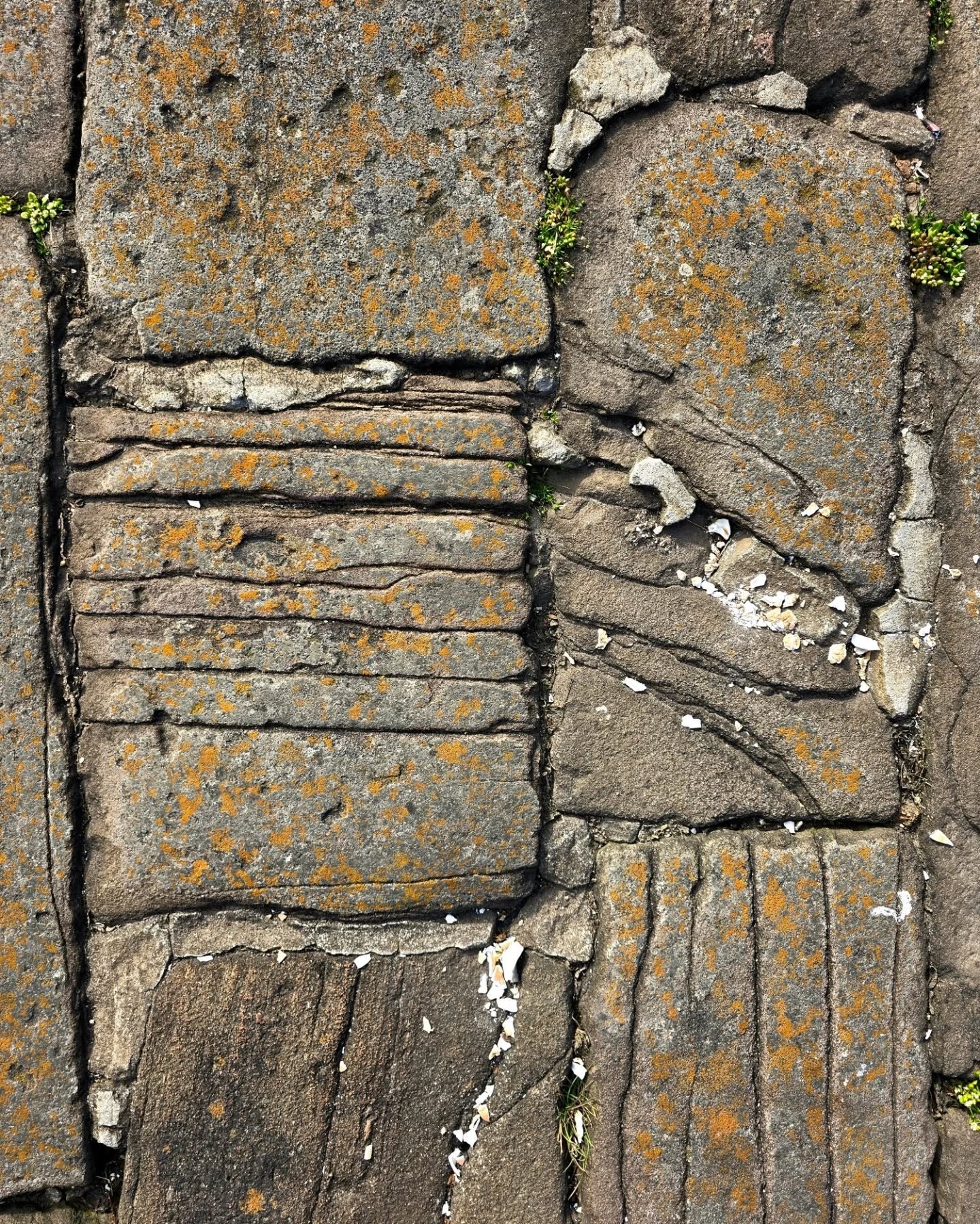 I'm down teaching with @mearnsartanddesign this week as part of my ongoing NHS Grampian project - after school today I took a wee jaunt over to Johnshaven, what a lovely place, I can't believe I waited so long to visit! Here's a few colours/textures that caught my eye โค๏ธ
.
.
.
.
.
.
#johnshaven #harbour #stone #texture #coast #aberdeenshire