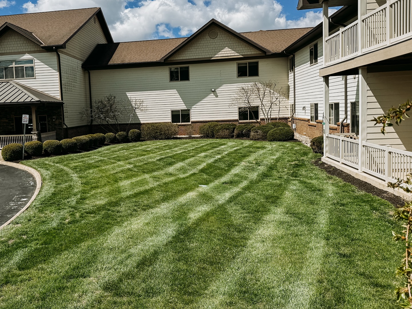 Rain can’t stop the grind ☔️➡️✂️ Catching up and keeping it clean.
#StripeOfTheDay #LawnPerfection #MowItLikeItsHot #CrispAndClean #LawnCare #LawnGoals #LawnMowing #LandscapingLife #MowerTime #PerfectLawn #TurfLove #MowingMonday #LawnAddict #LawnTreatment #LandscapeDesign