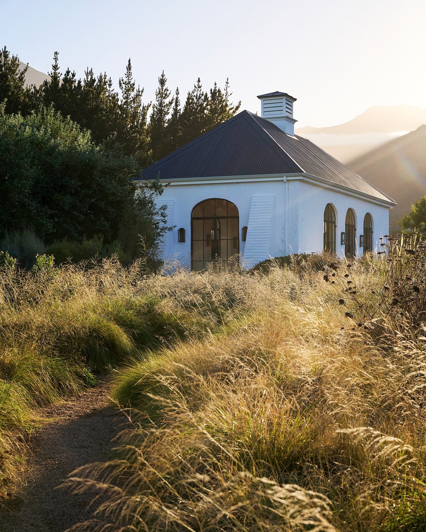 Follow the meadow of dreams to our stunning glass house — where nature meets tranquility.
.
.
.
#lacotte #lacottefarm
#franschhoek #franschhoeklife
#meddow #view #farm #moubtains
