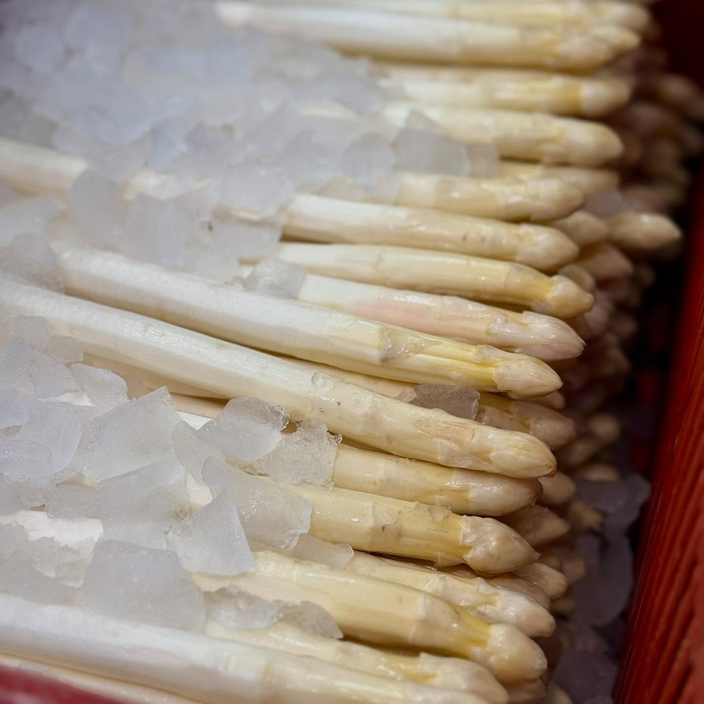 Spargelzeit im PIER 6
Gestern noch auf dem Feld, ab heute frisch auf den Tellern unserer Gäste. Stedener Stangenspargel mit verschiedenen Beilagen
#spargel #spargelzeit #pier6 #restaurant