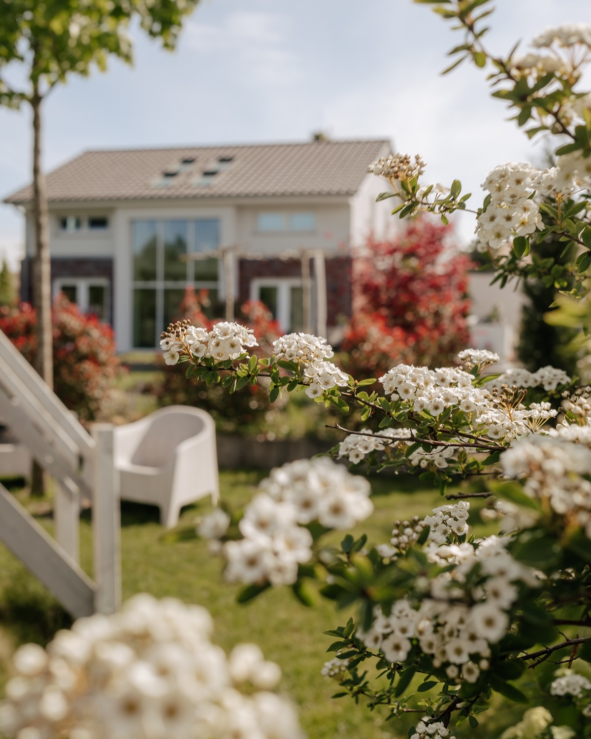 My Home 🥹❤️ Ich liebe die weisse Blütenpracht der Spiere so sehr! Von hinten hat das so ein schönes Bild heute gegeben - das musste ich festhalten 😍
#gartenglück #gartenplanung #pflanzideen #homeandgardens #exteriordecor #exterior_design