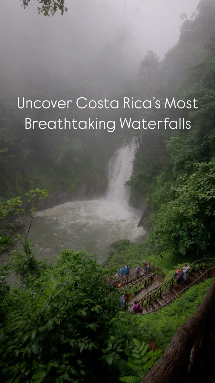 Ready to chase paradise? 🌴💦
Discover Costa Rica’s most breathtaking waterfalls – hidden gems surrounded by lush rainforest, crystal-clear pools, and pure magic! ✨🌿
Whether you’re a thrill-seeker or nature lover, our guided tours offer exclusive access to waterfalls off the beaten path. 🥾🏞️
Don’t just visit… experience Costa Rica like never before!
Spots fill up fast – book your adventure today!
Have questions? Message us directly ✉️ or click the link below to get your free tour quote now ✅
#puravida #costaricatravel #waterfallwonders #visitcostarica #adventurethrillscr
Let’s dive in! 📸⛰️