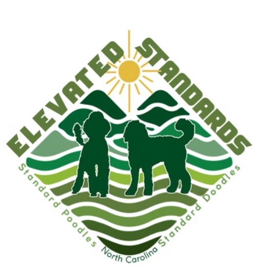 Hey Friends… You can no longer see our Elevated Standards NC page on Facebook… WE have moved on to other platforms. We will share updates on our website, Insta & TikTok from now on. Let me know if I can ever answer any questions about our beautiful 🐶🐾 companions❤️❤️❤️