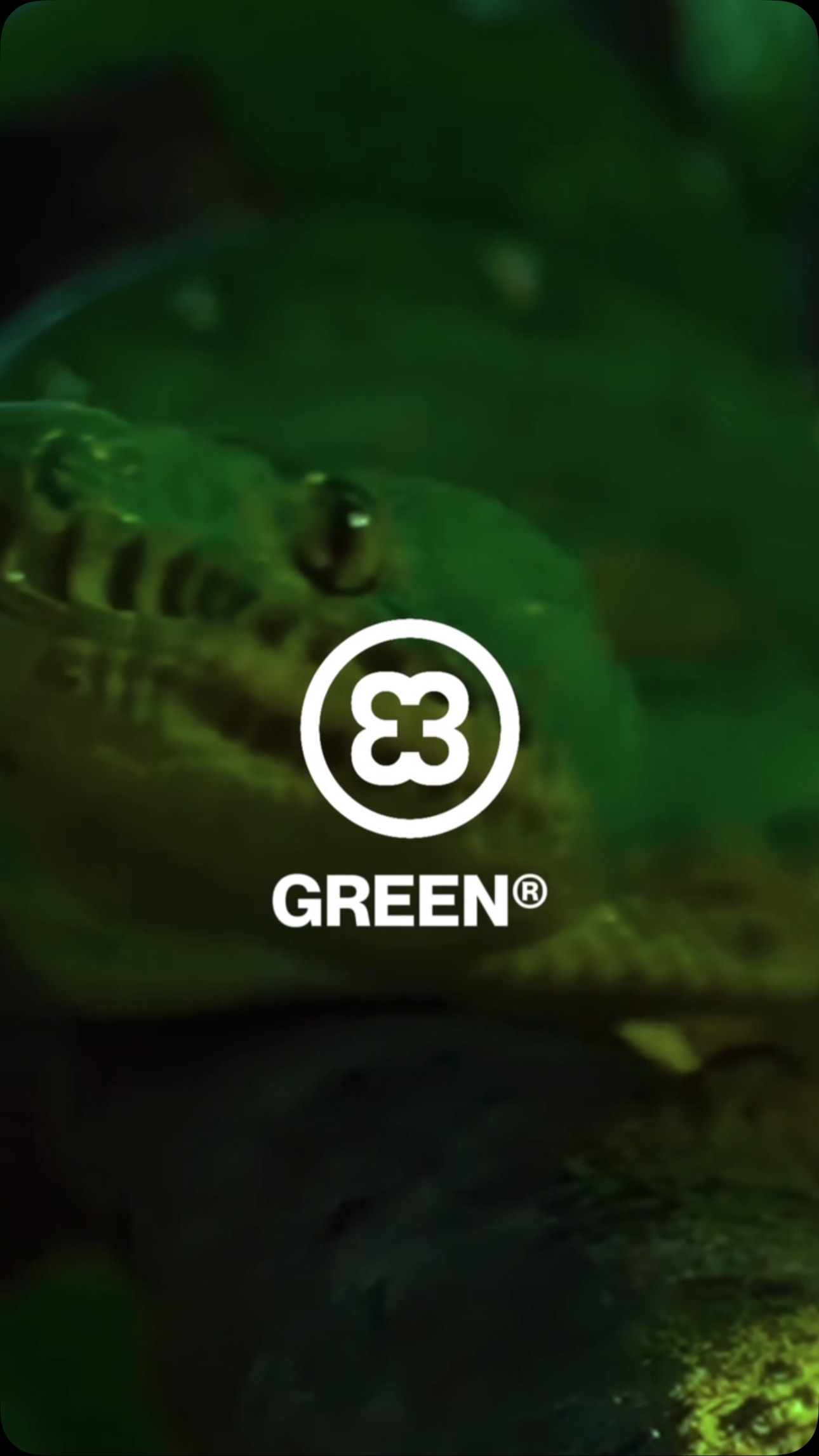 GREEN®
Indompté. Non filtré. SAUVAGE.
🌴 Disponible dès maintenant sur vinylacy.com
Qui ose entrer dans la jungle ?
#PressedByVinylacy