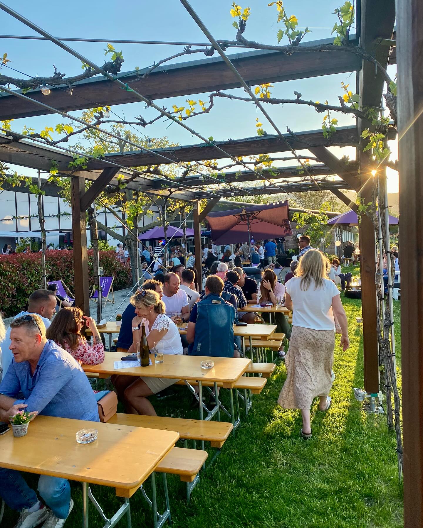 Uiii… was für ein schönes erstes Wochenende liegt hinter uns. Vielen Dank für alle die uns zahlreich besucht haben. 💜💜💜
Es wurde ganz viel Wein von @altesweingutsteigelmann genossen, in den Liegestühlen am @winestrandmussbach gechillt oder bei bester Musik getanzt und gefeiert, vielen Dank an BORN, @_georgsgr_ und an @yannisponce 🎶🎸🎧💃🕺🪩
Ebenso bedanke für uns für das mega leckere Essen von @schneidersfoodtruck67663
Wir freuen uns jetzt schon auf den 29.5.; weitere Infos folgen die nächsten Tage!
#winestrandmussbach #winestrand #wein #cocktails #sunshine #weekend #neustadtanderweinstrasse #pfalz #weinstraße #mussbach #vinothek #instawines #instagood #steigelman