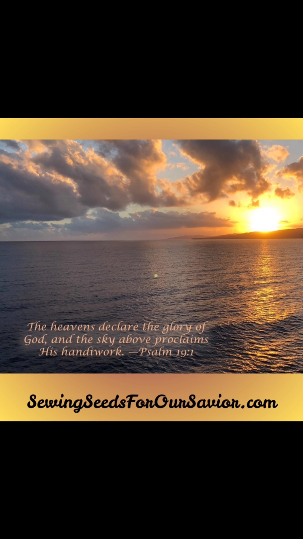 Praise God for His wonderful creation today!