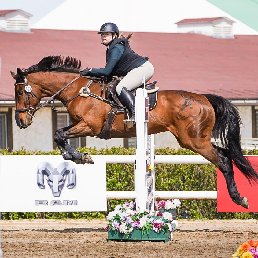 Had to post this one separately cause it’s not every day you see two unicorns at once! @maddy_eq111 💜