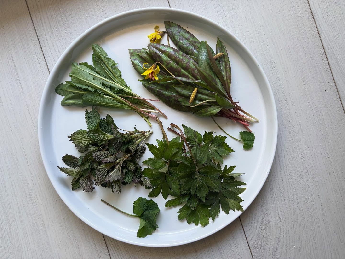 Spring is in full swing and I’m loving all the yummy greens. I’m not sure if my body just needs the extra boost or if I’m just more engaged this year but it is seriously hitting the spot.
#springgreens #foragedfood #getoutside #freefood