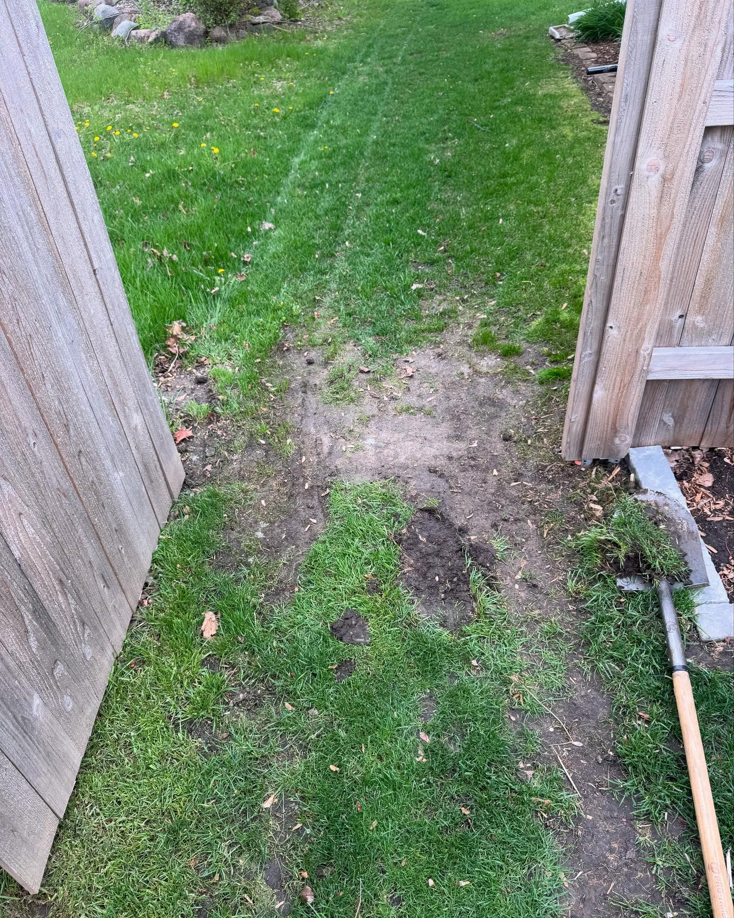 Can’t grow grass? We got you covered!