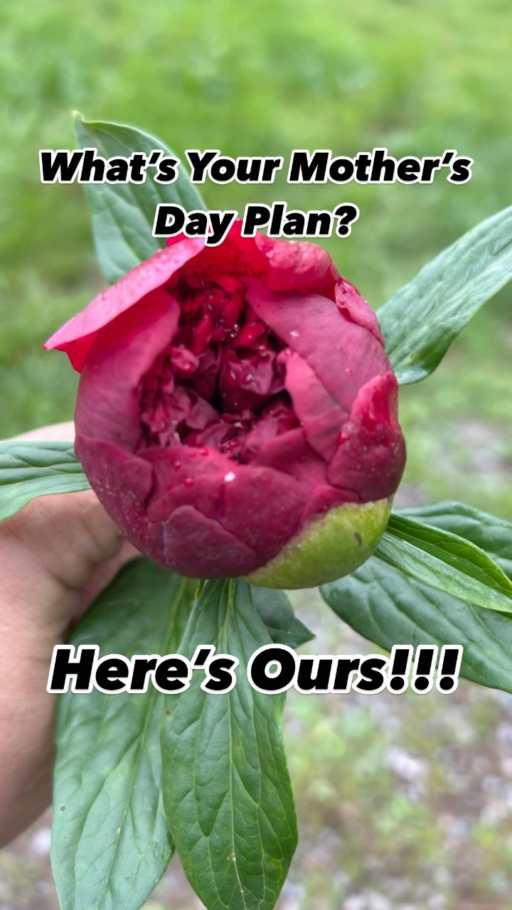 We’re opening at the Clarke County Farmers Market (8am-12pm) this weekend with our Mothers Day line up. We’ll also have them at Old Town Alexandria Farmer’s Market (7am - 12pm) and the James Charles Winery on Middle Rd in Winchester (12pm - 4pm). Celebrate your mom with one of our designs! #clarkevafarmmkt #berryvilleva #clarkecountyva #oldtownalexandria #oldtownalexandriafarmersmarket #jamescharleswinery #winchesterva