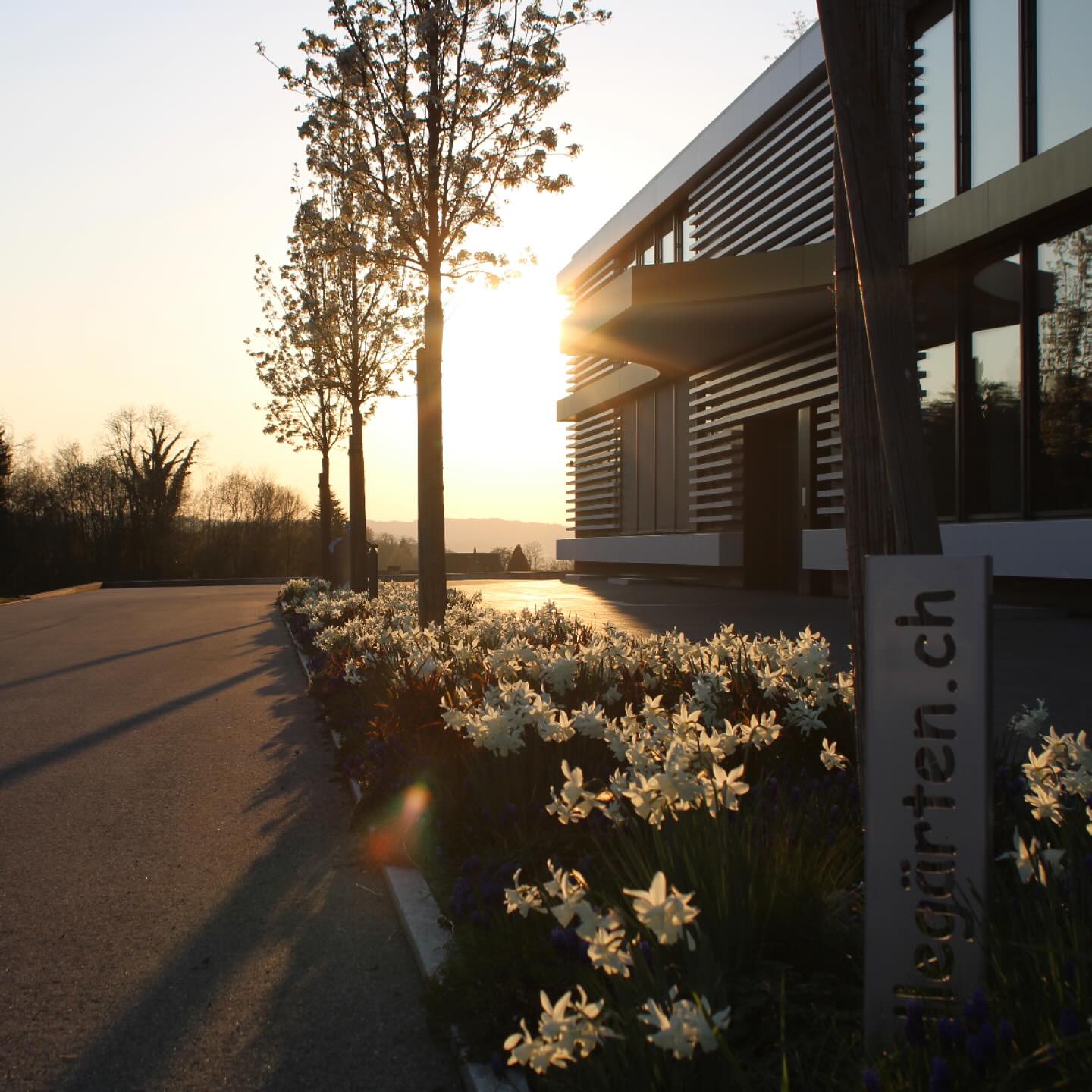 Gepflegt. Wirkungsvoll. Zeitlos.
Ob Privatgarten oder Firmenareal – wir gestalten mit Konzept und Charakter.
Die harmonische Kombination aus klaren Linien, blühenden Rabatten und sorgfältig ausgewählter Bepflanzung zeigt: Auch Aussenräume erzählen Ihre Geschichte – und wir helfen dabei, sie perfekt in Szene zu setzen.
Tollegärten GmbH – weil der erste Eindruck zählt.
#Tollegärten #Gartenarchitektur #Blütenpracht #Aussenraumgestaltung #Firmengarten #Gartenästhetik #DesigntrifftNatur