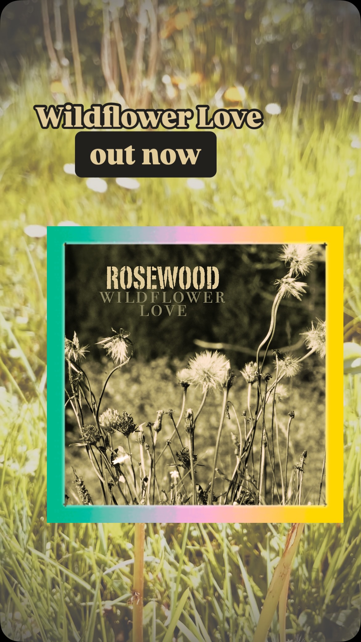 🌼Wildflower Love – out now 🌼
Der erste warme Frühlingstag, eine leichte Brise streicht über die Haut, die Wiese blüht in allen Farben -
und irgendwo dazwischen liegt diese eine Melodie,
die nach Freiheit, Liebe und Neuanfang klingt.
Ab sofort ist Wildflower Love auf allen Musik-Plattformen verfügbar. Hört rein, teilt ihn mit euren Liebsten und lasst uns wissen, was ihr fühlt, wenn ihr ihn hört.
Love grows wild 🌸💛
#lifeisgoodwithrosewood #swissmusic #musicfromswitzerland #americana #wildflowerlove #lovegrowswild
