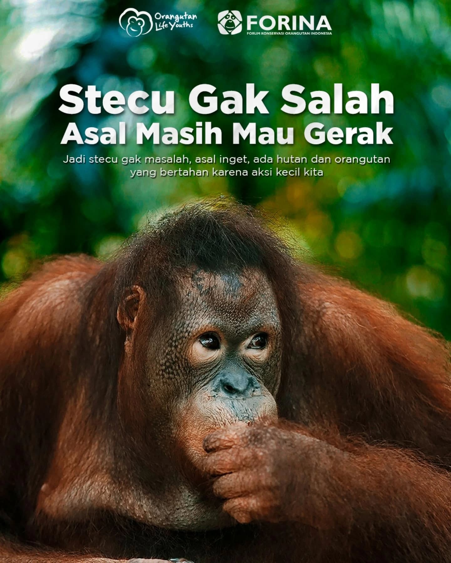 π± Dari Velocity Jadi Aksi Peduli π€πΌ
Kadang kita stecu (setengah peduli, setengah cuek). Tapi buat Bumi, hutan dan orangutan, kita butuh lebih dari itu.
Mungkin kita belum 100% eco-warrior, tapi mulai gerak kecil itu udah berarti banget. Gak perlu perfect, yang penting progress. β¨
Satu langkah kecil kita, satu nafas lagi buat Bumi. ππ¦§
Let's go, pejuang tipis-tipis! π
#orangbaikjagaorangutan #saveorangutan #jagahutan #orangutanlifeyouth #olymovement #youthforwildlife #genzforearth #tipistipisjugaaksi #stecubergerak #outizen #velocity