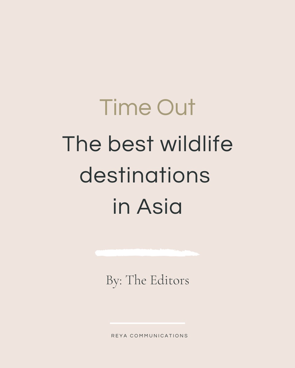 Spotted in @timeouttravel: Gangtey Lodge, Bhutan
Named one of Asia’s best wildlife destinations, Gangtey Valley makes the cut for its rare, almost mystical wildlife encounter, the black-necked crane. From October to March, these sacred birds descend from Tibet and famously circle the Gangtey Monastery before touching down in the valley, an annual spectacle revered by locals and birders.
In the heart of it all is @gangteylodge, the boutique retreat the editors describe as “a small, all-inclusive boutique hotel overlooking the valley. Each room has heated floors, a soaking tub and a fireplace, making a stay here as cosy as they come.”
The editors encourage travelers to skip unethical wildlife centers and seek out meaningful, conservation-aligned experiences like this, where reverence for nature shapes every part of the journey.
A dream destination for wildlife lovers, slow travel editors, and cultural explorers.
For writers looking for an under-the-radar wildlife destination with cultural depth, conservation impact, and poetic visuals, Gangtey Lodge awaits you.
Read the full piece at our bio or the link in our stories.
#REYACommunications #GangteyLodge #TimeOutTravel #WildlifeDestinations #BhutanTravel #BlackNeckedCrane #GangteyValley #SlowTravel #BirdingAsia #LuxuryLodge #ConservationTravel #NatureWriters #EcoTourism #TravelJournalism #WildlifeWatching