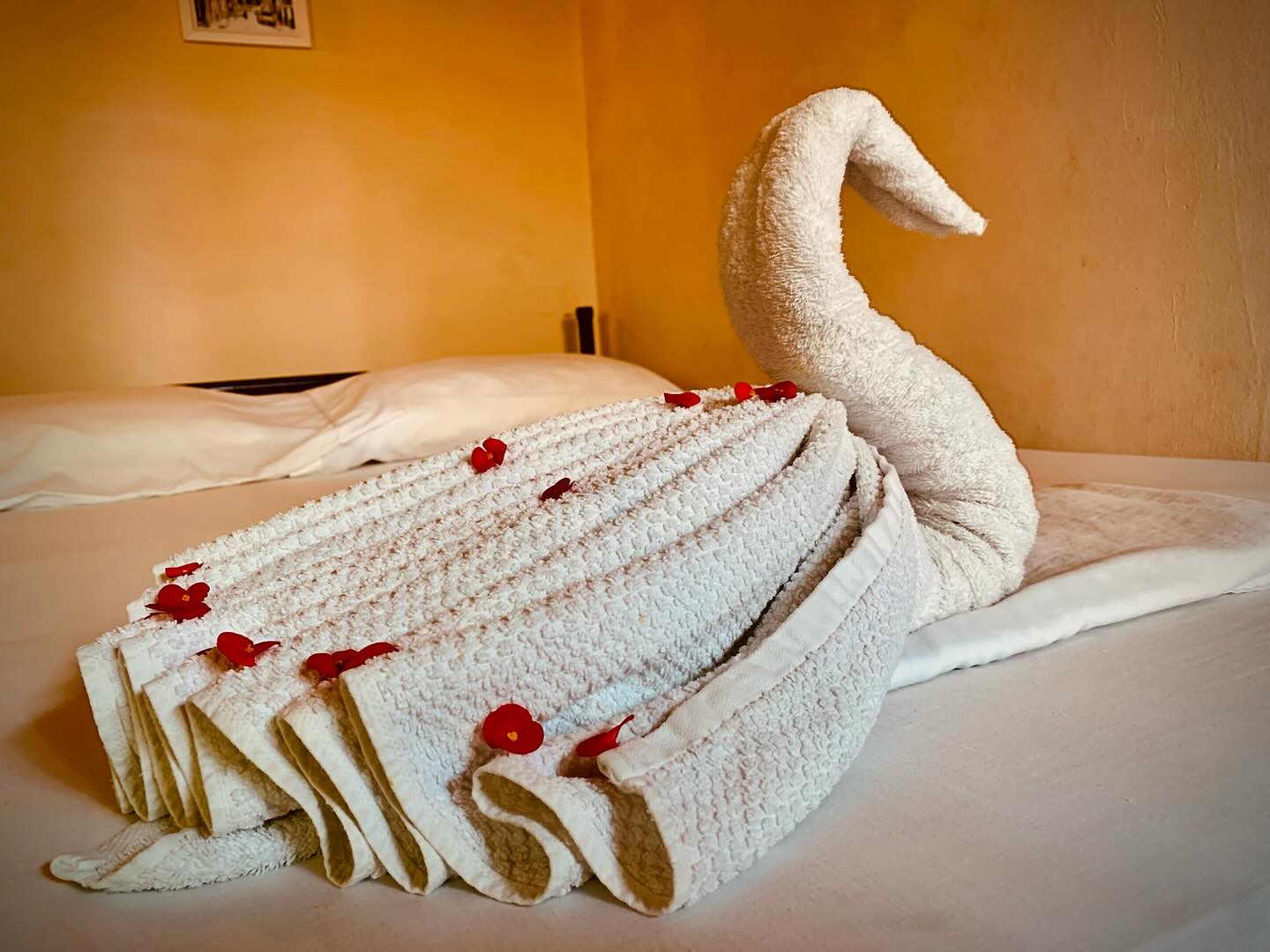 Quadruple room, perfect for family, friends or couples, double bed with a bunk bed and private bathroom.
Best score, just live the experience!🦁🇳🇮
VISIT US WE ARE WAITING FOR YOU!!!
📍calle la Marcoleta , from the playground 2 streets and a half down .
Ask our rates directly to our WhatsApp : 📲 +505 8332 5746
🏠We are located, San Juan de Dios Church 2 blocks and a half down.