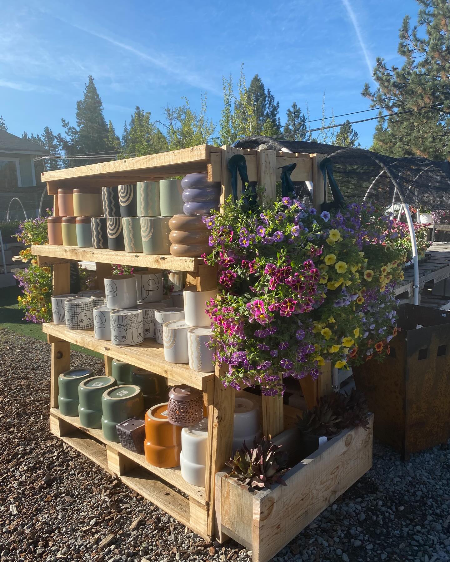 Flower baskets are now available!!!! Just in time for Mother’s Day weekend 💐come check them out 🤩
Open: Thursday-Monday // 9am-4pm