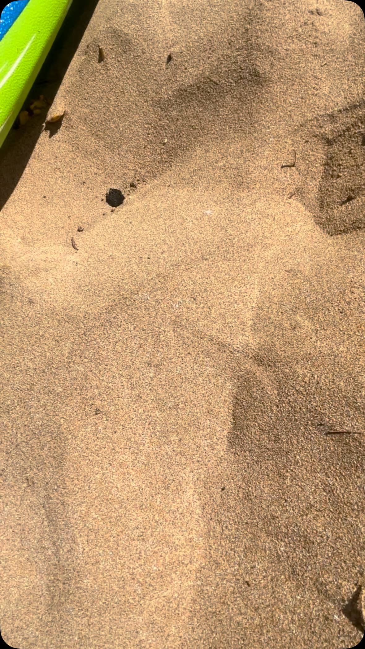 Just another moment before class—our biggest day of the month! Today, we’re honored to have Ms. Morgan teaching surf etiquette and the rules of the water.
Our program goes beyond just swimming, surfing, floating, and safe breathing techniques. It’s about learning the ways of the ocean. The ocean is greater than us, and it deserves our deepest respect—for within it lies both protection and life.
In the spirit of Aloha ʻĀina (love of the land and sea), we embrace Mālama i ke kai—to care for the ocean as it cares for us. Through kuleana (responsibility), our students learn not only to navigate the waves, but to honor the mana (spiritual power) of the sea.
#oceanlife #oceanknowledge #ponooutdoorprogram #mālama