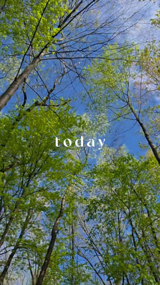 Since January 2024, I’ve been unmasking.
Unpeeling every version of myself I created just to survive in rooms I never belonged in.
I stopped hiding.
I showed up online—messy, raw, real.
And with God’s help, I made myself do it anyway.
Today, I’m down 166 pounds.
Day 4 of my 90-Day Body Reset™ (no surgery, no shortcuts).
And I can finally say…
I’m not becoming “her.” I am her.
So now I ask you:
Who’s ready to burn the mask and rebuild from the ashes?
Drop “RESET” below if it’s your time.
#90DayBodyReset #NonSurgicalBypass #WeightLossJourney #TransformationStory #FaithOverFear #BillionaireMindset #PhoenixEnergy #HealingOutLoud #RawRealReady #Shelbsolutely #ComebackSeason #ViralWeightLoss #MessyMiddle #GodDid #FromAshesToEmpires