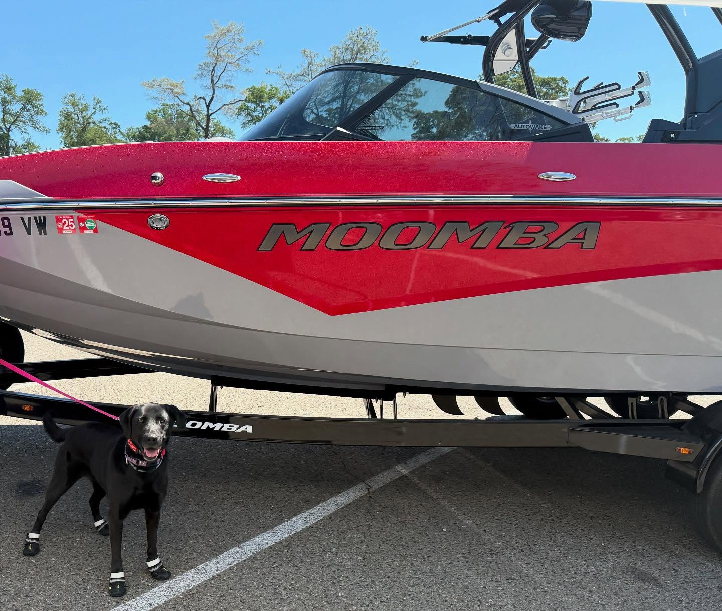 Starting the season a little early with a guest appearance at New Hogan Reservoir. We are just here for this weekend, helping to ensure all boats are mussel free!
Reminder, double check the requirements at each lake before you go!