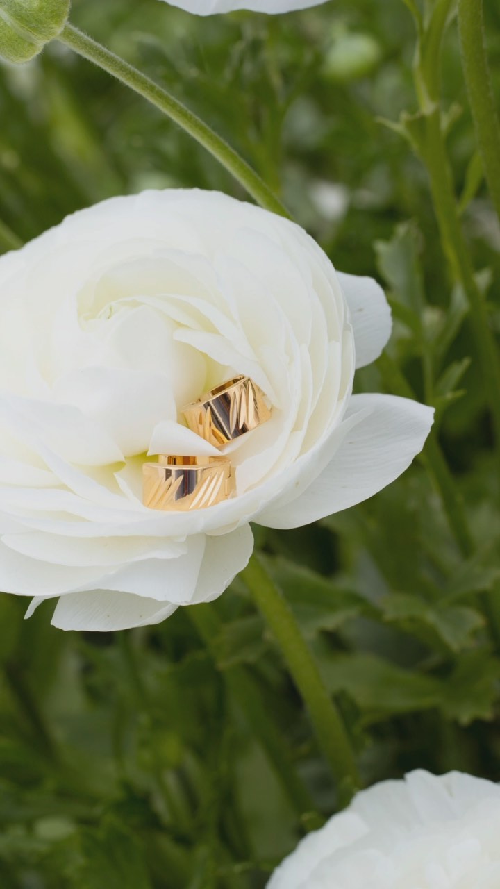 Roses are cute, but jewelry hits different
.
.
.
.
.
.
.
#seesea #lovefromthesea #waterproofjewelry #tarnishfreejewelry #goldjewelry #lajewelrybrand #lainfluencer #qualityjewelry #waterproofgoldjewelry #goldnecklace #jewelrystack #mothersdaygift #jewelryformom