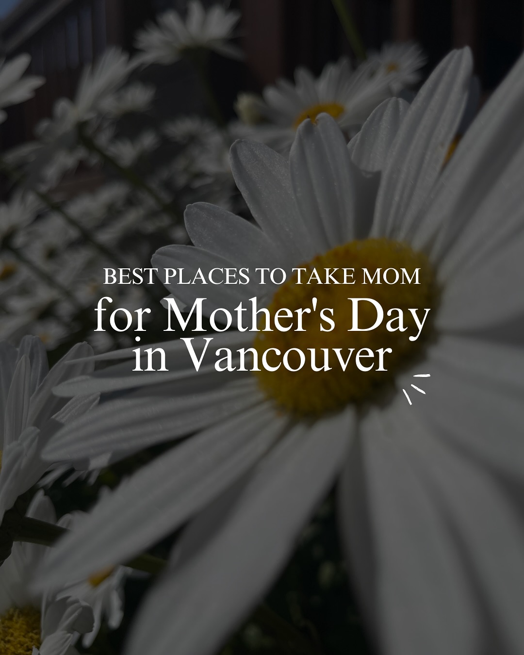Mother’s Day in Vancouver 💌💐
🚨 Save this post or drop it in the family group chat to make sure someone makes a plan 😂
TO START THE DAY
• Coffee at @pressocoffeeco
• Pastries and a mimosa flight at @laprovence_pdx
• Breakfast at @cecilia_vancouver
FLOWERS + GIFTS:
• Gift card to @doppelganger_boutique
• Arrangements from Mieko’s Marketplace Flowers
• Gift card to @willows_shop
ADVENTURES:
• Sunrise hike at Triple Falls
• Brunch at @thehammondkcb
• Spa day at @handandstonecamas
Want more local recs? Comment “GUIDE” and we’ll DM you our local Summer Guide — full of must-try spots, staycations, and things you won’t find on Google 🌞
We’re The Eisenhauer Team, your Vancouver real estate experts 🏡
Follow along for all things SW Washington and Portland Metro — the best new listings, things to do, and a BTS look at life here.
#downtownvancouver #mothersday #flowerarrangements #mamalife #vancouverrealtor #theeisenhauerteam