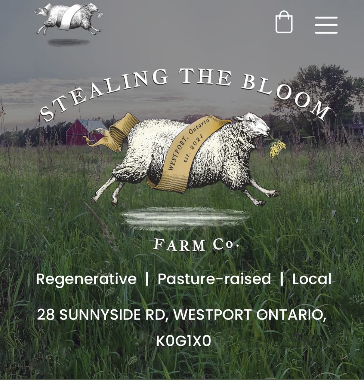 We’re very happy to have @stealingthebloomfarmco at the Perth Farmers Market outside when weather permits! They will have a variety of animals on the grass this Saturday so come on by from 8am to 1pm for an interactive experience! For kids ages 0-99 years young :)
#heritageperth #perthtourism #ontariofarmers #fmo #petfriendly #localfood #ontariofood #foodlandontario #farmersmarket #eatlocal #gardening #ontariogardening #perthontario #perthontariocanada