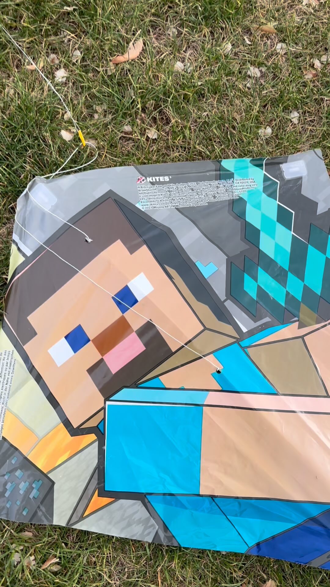 Took advantage of the windy night and went and flew a kite for the first time with Ollie #outdoors