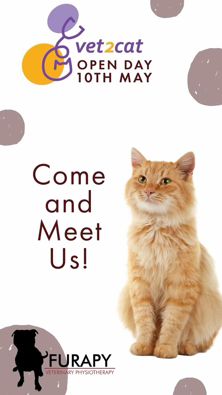 Calling all local cat lovers! 🐈⬛
Just a reminder that we will be at the open day of the lovely new @vet2cat clinic facilities to chat all things physio with you!
Catch us from midday til close!
Address: Unit 2, 1 Leith Ave, Portchester, Portsmouth PO16 8HS