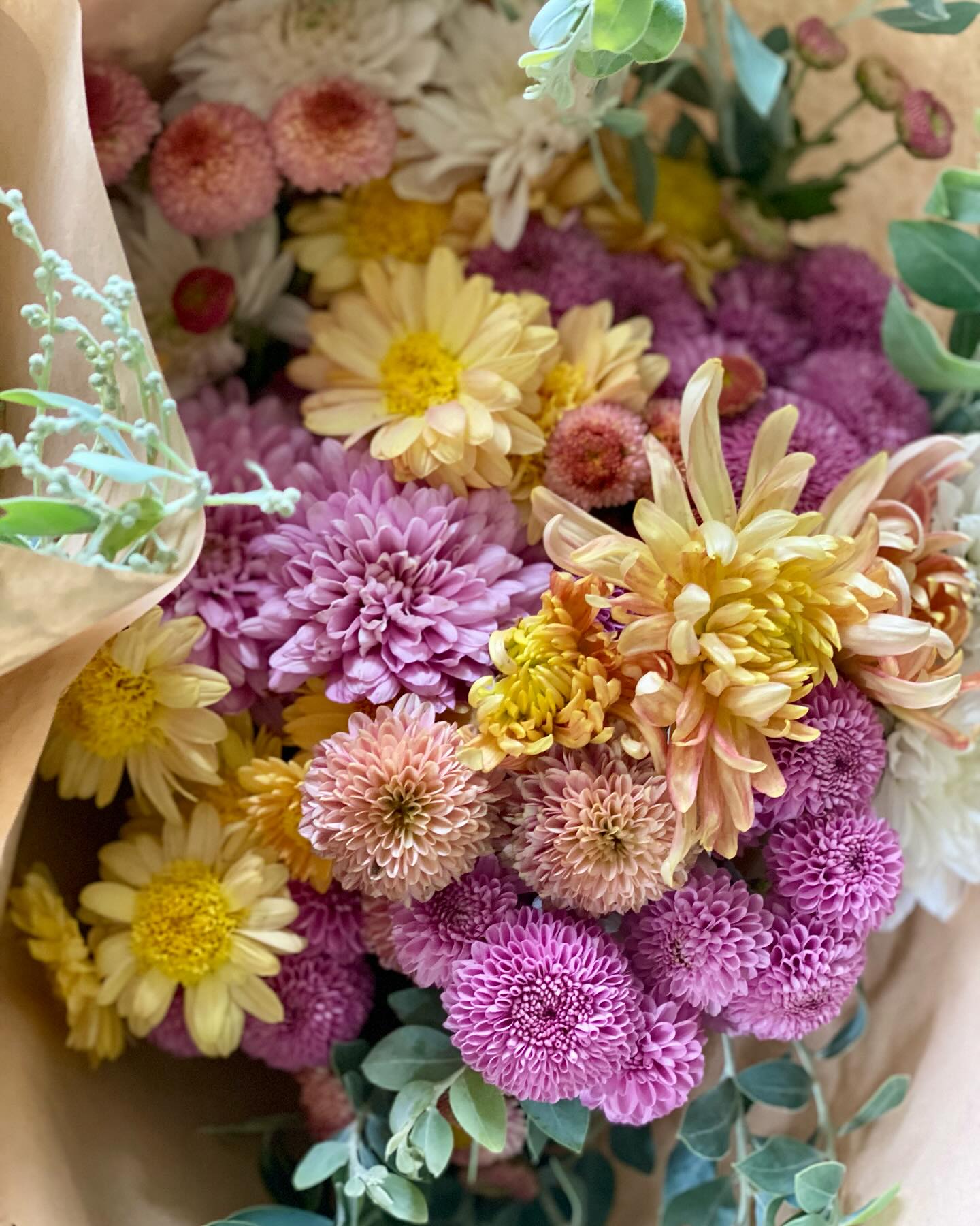 Mother’s Day chrysanthemums 💚
A bit of a late post but I wanted to pop it on here for myself more than anything else.
I have the best memories of buying chrysanthemums for Mother’s Day for both my mum and now for myself, and I love that I can finally grow my own for this special day!
I’m very lucky to be connected to my local growing community who grow together supporting each other with swaps of cuttings and flowers when one of us fall short for an order. I think micro business (farms, bakeries, breweries etc) can heal communities from the inside out.
Thanks Ron at @flowers_at_the_wastelands for keeping us in supply of chrysanthemums plants each season.
#imustgrowflowers #newcastleflowerfarm #ilovechrysanthemums
