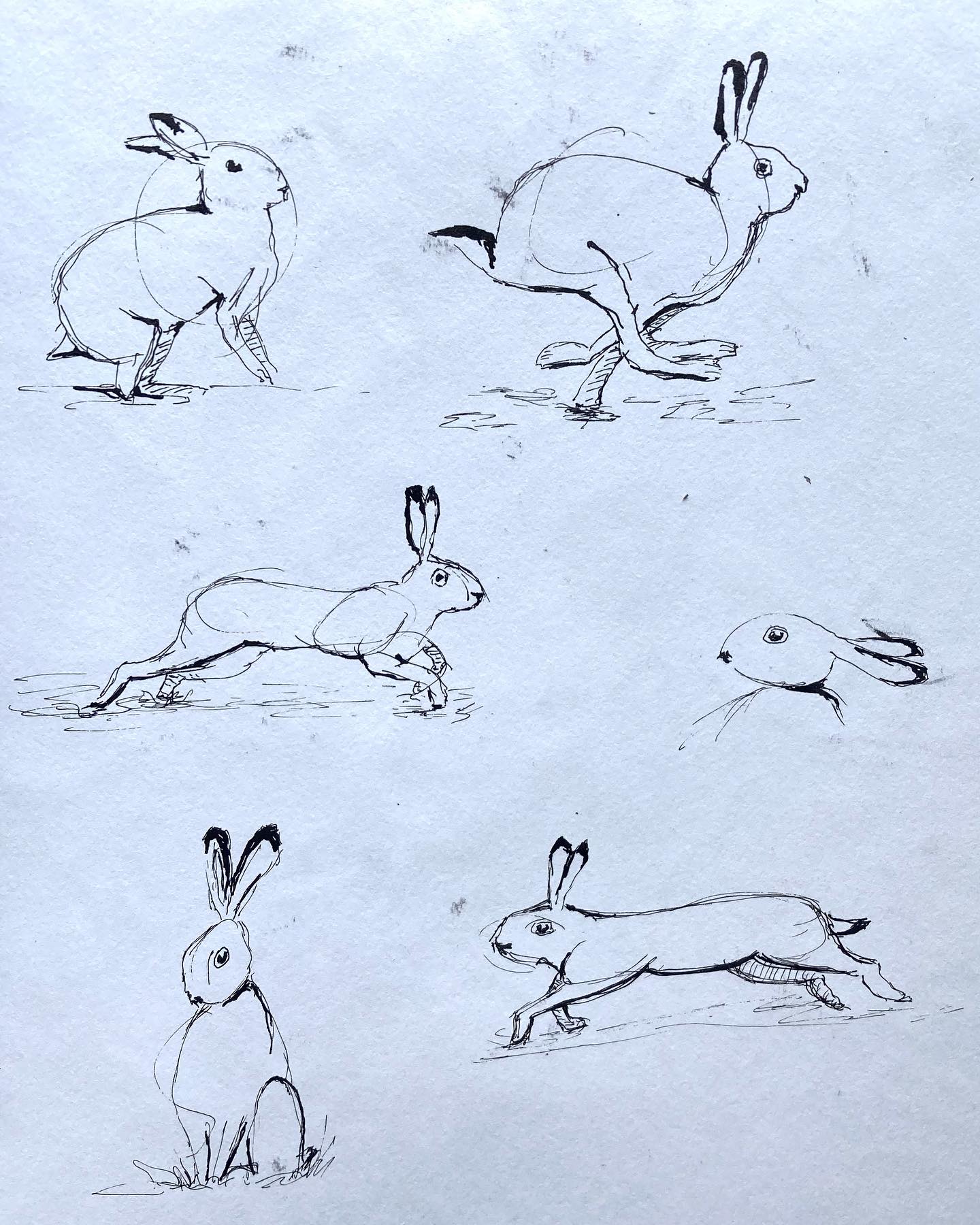 I’m on holiday so not posting about mental health this week, but I’ll leave you with some hares as I’ve been listening to the audiobook Raising Hare by Chloe Dalton and what a lovely, uplifting book it is! I can thoroughly recommend it as a powerful reminder that we don’t have to go everywhere and do everything or experience everything to be living a life worth living, and that there is so much, here and now that can touch us, change us, even heal us, if we only take the time to notice it 😊❤️