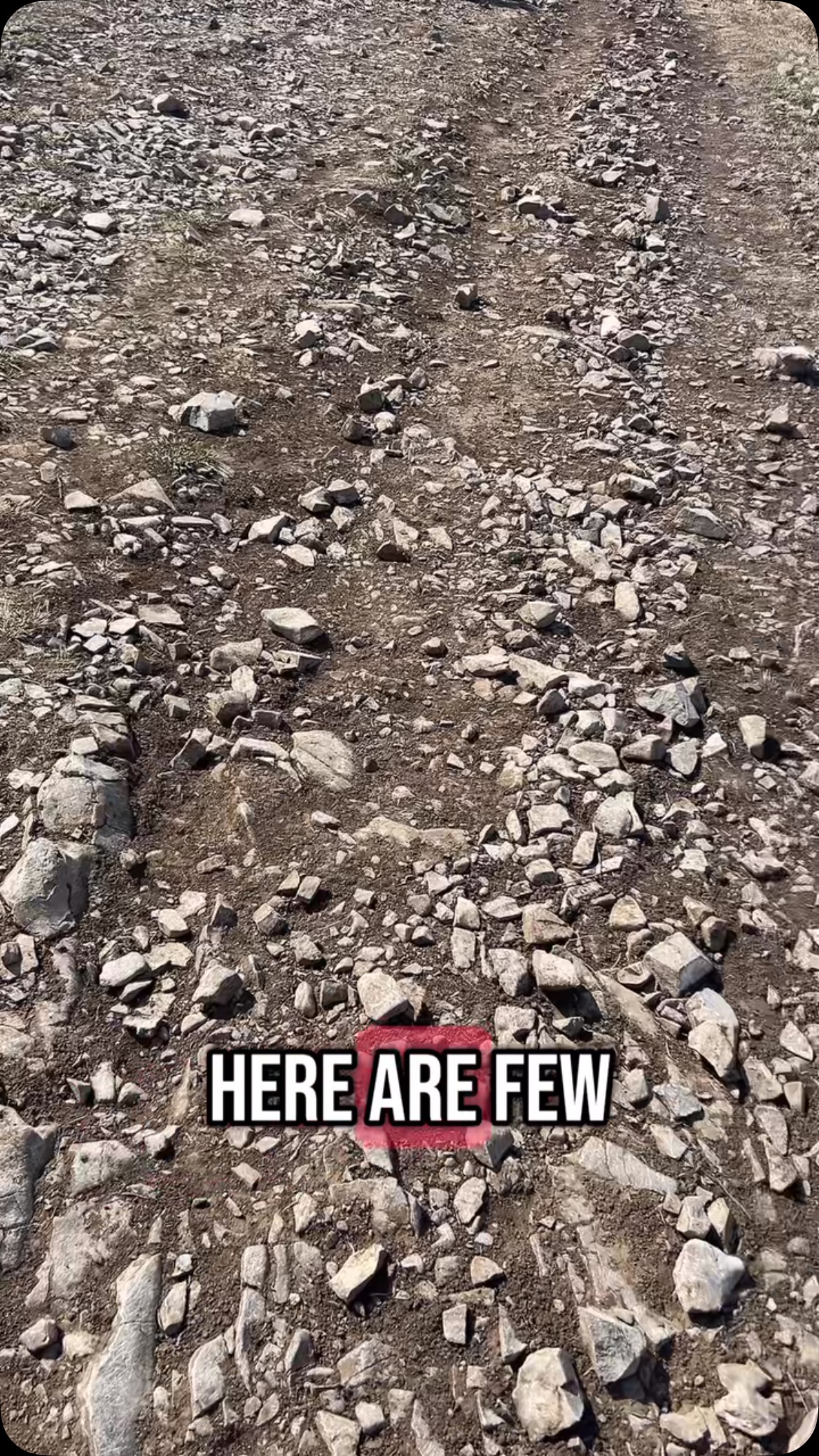 Running downhill seems easy……..……until gravity turns you into a human avalanche. 😆😬
Here are some Ideas on how to cruise the downhills like a mountain goat, not a runaway boulder 😀
- Look ahead - about 1-2 metres and not at your feet. This will help you identify where to place your feet. Every now and again look up and check what is in front of you.
- Keep your head up so you stand tall and don’t collapse causing your hips to bend. Also lean slightly forward to stay balanced.
- Shorten your stride (I didn’t mention this in the video) but this also helps keep you light on your feet and flexible with where you are going to land.
- Use your arms or your poles to help balance.
- Remain relaxed so you can move quickly and easily
- Don’t over stride and keep your feet under your hips. This will help with balance.
It takes practice and as I said I am not the best but I am improving!
Let me know how you get on!
#DownhillRunning
#UltraRunningTips
#TrailRunning
#RunnerForm
#EnduranceTraining
#Tahoe200
#RunHappy
#MountainRunning
#RunningIsMyTherapy
#RunStrong
#RunToInspire
#MoreThanWeThinkWeCan
#200MileTraining
#UltraRunCoach
#EnduranceCoach
@evolvedsportsperformance
@fortius_therapy