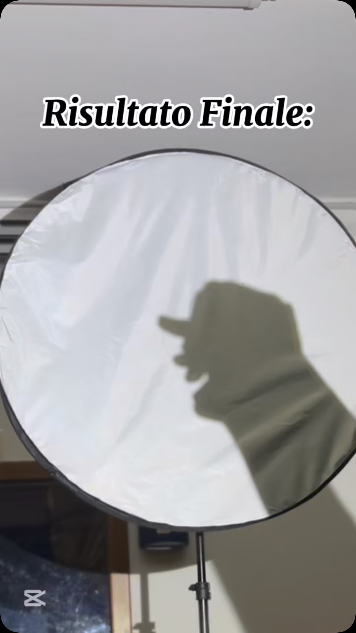 Un nuovo mondo di ombre
Dopo aver visto boomshadowace, Matteo
Fraziano e tanti altri artisti condividere le proprie idee, ho deciso di provare a condividere il mio viaggio all’interno del magico mondo delle
ombre
#CapCut #shadows #shadowartist