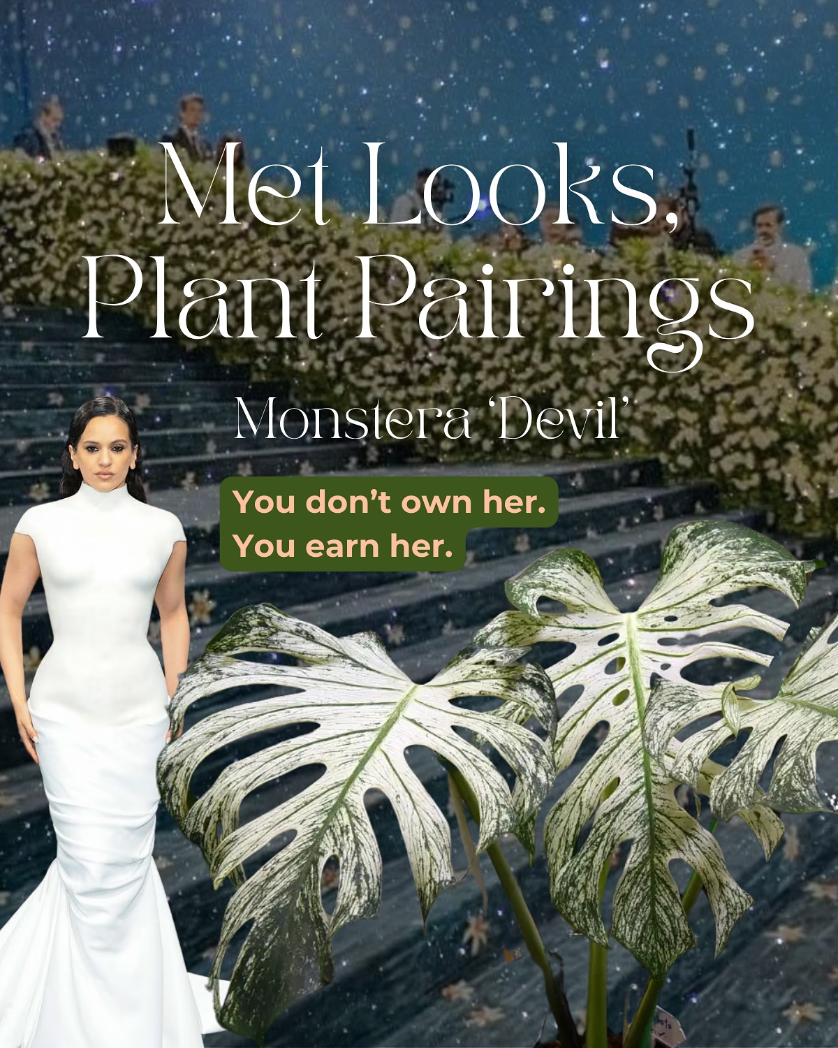 Plant Pairings for the Met Gala 2025 #Metgala
Where high fashion meets some of our rarest foliage.
Because every iconic look deserves a statement plant šæāØ
Which pairing is your favorite?
Comment below and let us know if youāre ready for part 2 š
#FoliageAndFashion #PlantStyling #BotanicalCouture #StatementPlants #FashionMeetsFoliage #plantthejungle #monsteradevil #rareplants