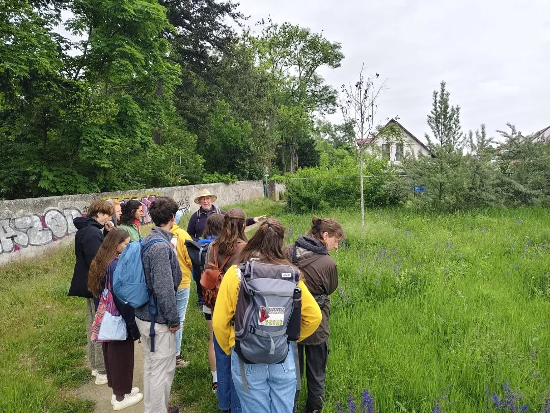 Den dritten Tag der Bildungsreise Permakultur hat die Gruppe dem Thema Kräutern gewidmet. Am Vormittag hat die Gruppe eine dreistündige Kräuterführung in Griesheim bekommen. Am Nachmittag wurde dann bei einem DIY Workshop aus den gesammelten Kräutern Kräutersalz und zusätzlich Seedballs hergestellt.