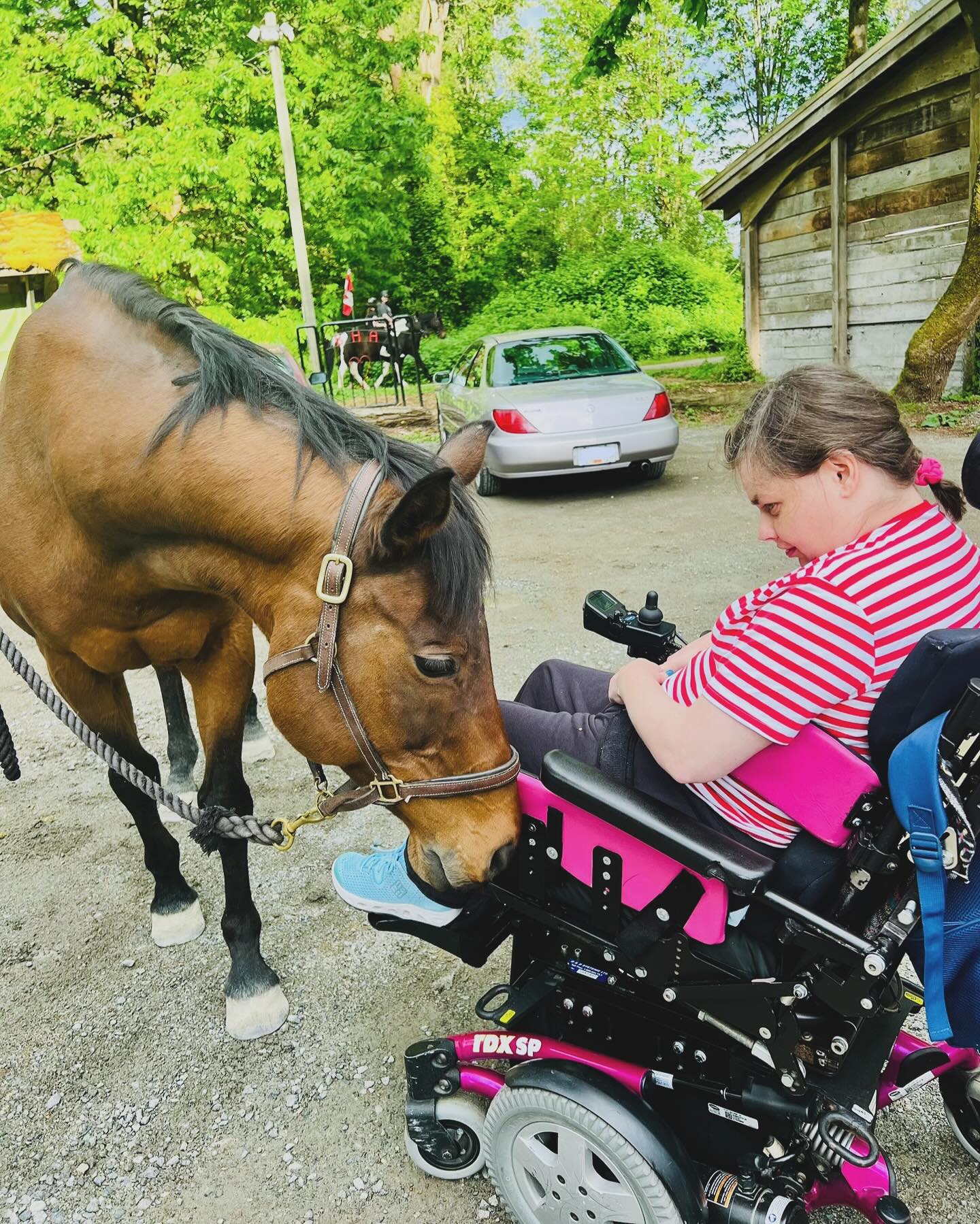 Ginny made a new friend today.
We’d love to welcome you to our wheelchair accessible facilities and introduce you to our horses!
Oh and Ginny is just asking for a friend, “do you happen to have treats…?”
#HorsesInBurnaby