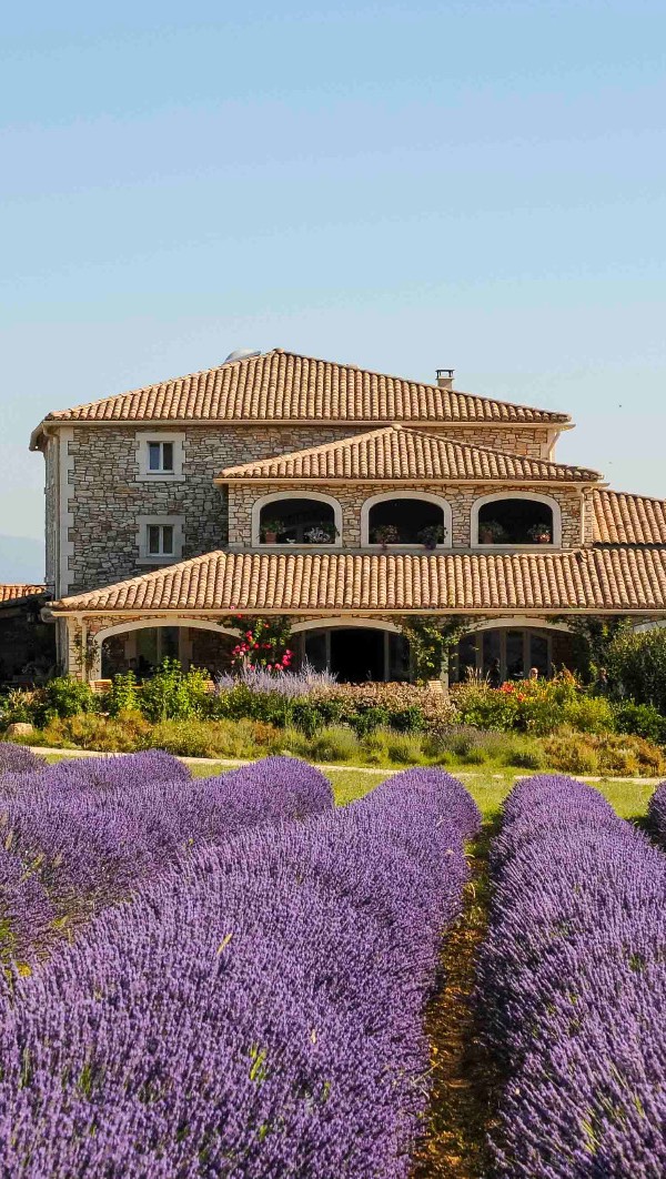 👉 Du suchst im Sommer keine Pool-Liege mit Nummer, sondern eine Hängematte im Pinienwald? Keine Buffetschlange, sondern ein Glas Wein in der Abendsonne?
🌿 Im Naturpark Domaine du Frigoulet sind im Juli & August noch ein paar Rückzugsorte frei – aber nicht mehr lange. Schreib uns direkt.