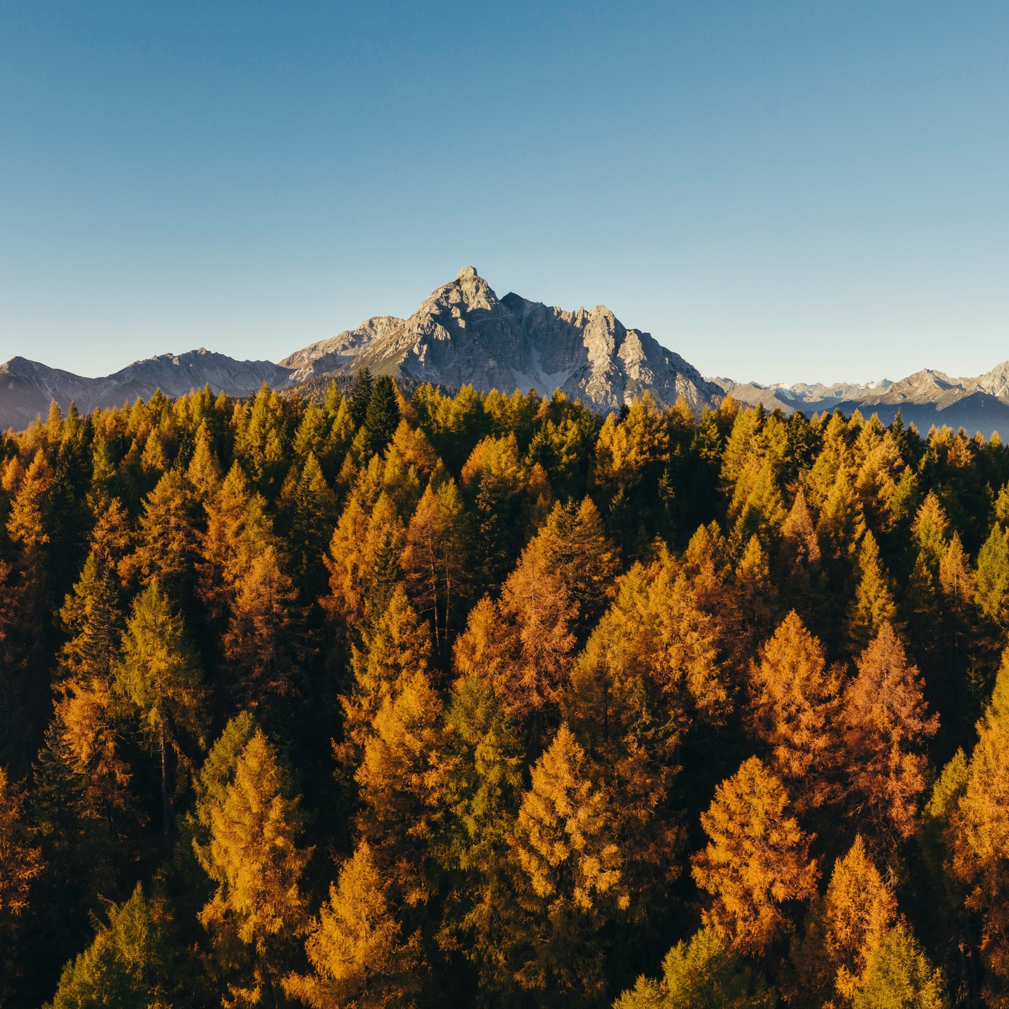 Goldene Lärchen & die Königin des Stubaitals 👑
Die Serles, majestätisch über dem herbstlichen Wald – direkt vor der Haustür der Lärchenlodge.
Ein Ort zum Durchatmen, Entdecken & Staunen.
🍂 Lieblingszeit im Stubaital
📍 Direkt ab Haus wandern
#serles #stubaital #lärchenlodge #herbstfarben #tirolurlaub #bergzeit #goldenerherbst #naturgenuss