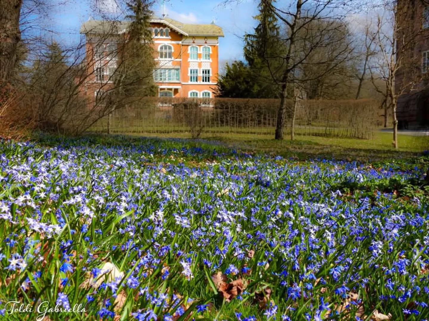 📷 Gabriella Toldi @toldi.gabriella