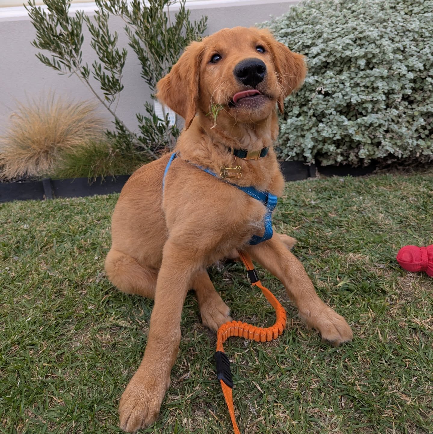 Playdate with baby Murphy