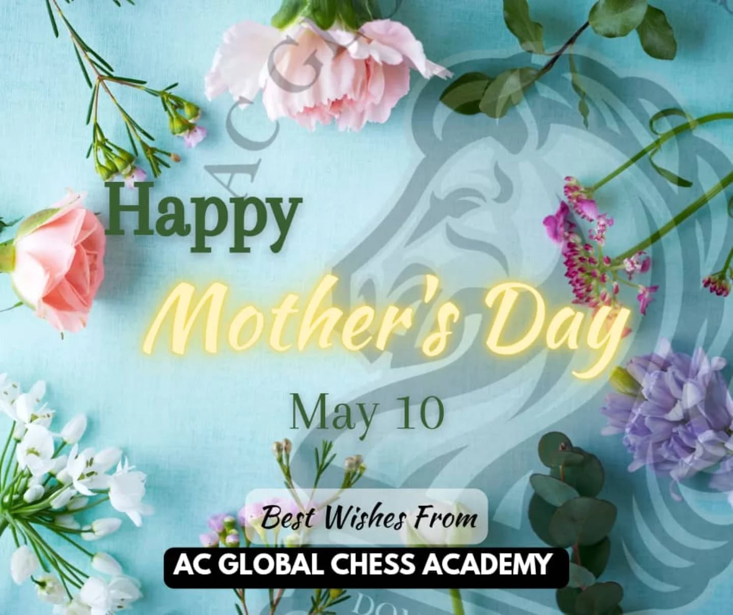 "Happy Mother’s Day to the queen of our lives! 🫅🧑🍼🤱💐
In the great game of life, you’ve always been our strongest piece—protecting, guiding, and making every move count.
Like a queen on the board, your presence commands respect, your wisdom shapes strategy, and your love defends every square of our hearts.
Thank you for always thinking five steps ahead, for sacrificing without hesitation, and for being the calm in every endgame.
Today, we celebrate you—the true grandmaster of love, strength, and grace.
Checkmate, Mom. You win every time." ♟️
#mothersday #ChessNotCheckers #babygenius