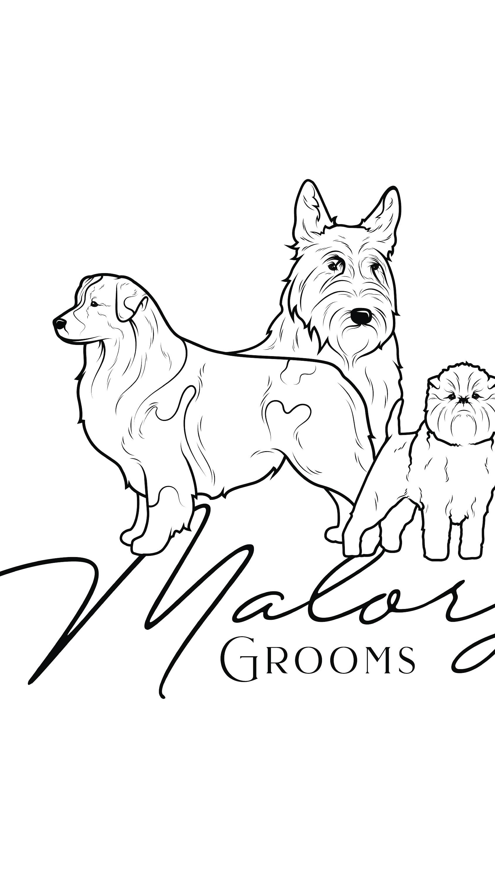 Sometimes I look around the salon and can’t believe this is real life. What started as a dream has grown into something so meaningful—and it’s all thanks to YOU.
I’m endlessly grateful for every client who’s trusted me with their beloved dogs, and for the friendships that have blossomed along the way. So many of the beautiful pieces of art on the walls were gifted by clients—each one is a one-of-a-kind treasure that reminds me of the people and their beloved pets.
This space is more than a grooming studio. It’s a reflection of love, trust, and shared joy. I’m so lucky to do what I love every day and be able to support myself while doing it. That’s not something I take for granted.
And for those of you who’ve noticed the one naked wall—don’t worry, it has exciting plans. We still have allot to add and touch up. Stay tuned!
Thank you for being part of this journey—whether you’ve been with me from the start or just found your way here. I wouldn’t be here without you.
#girlboss #greatful #doggrooming #studiosalon #fearfree #dogshowgroomer
