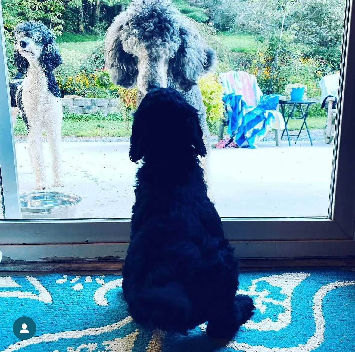 Our passion….right here❤️