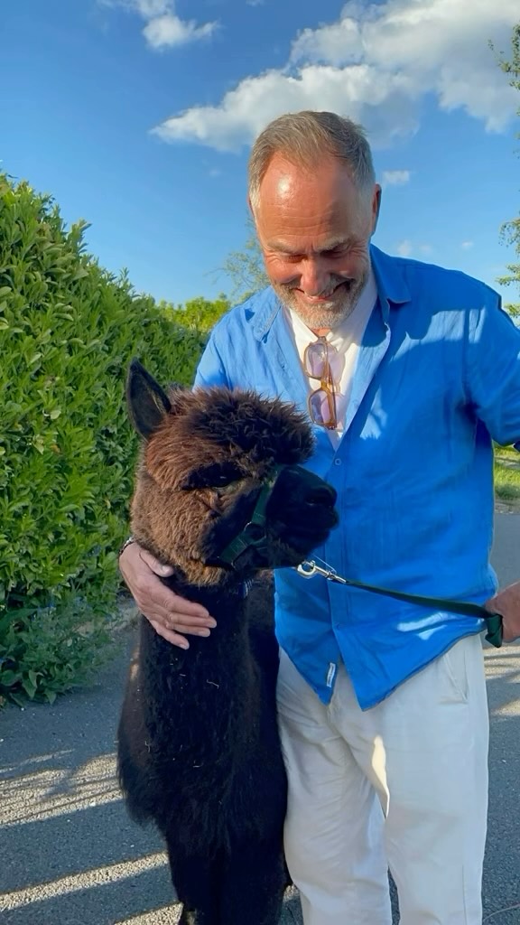 Turning 60? 🥳
No prob-llama - we brought alpacas! 🦙🎉🎊🎈🎂
#60thbirthday #60thbirthdayideas #birthdayideas #birthdayplanning #happybirthday #alpacavisit #alpacawalking #fyp #woodlandsalpacafarm