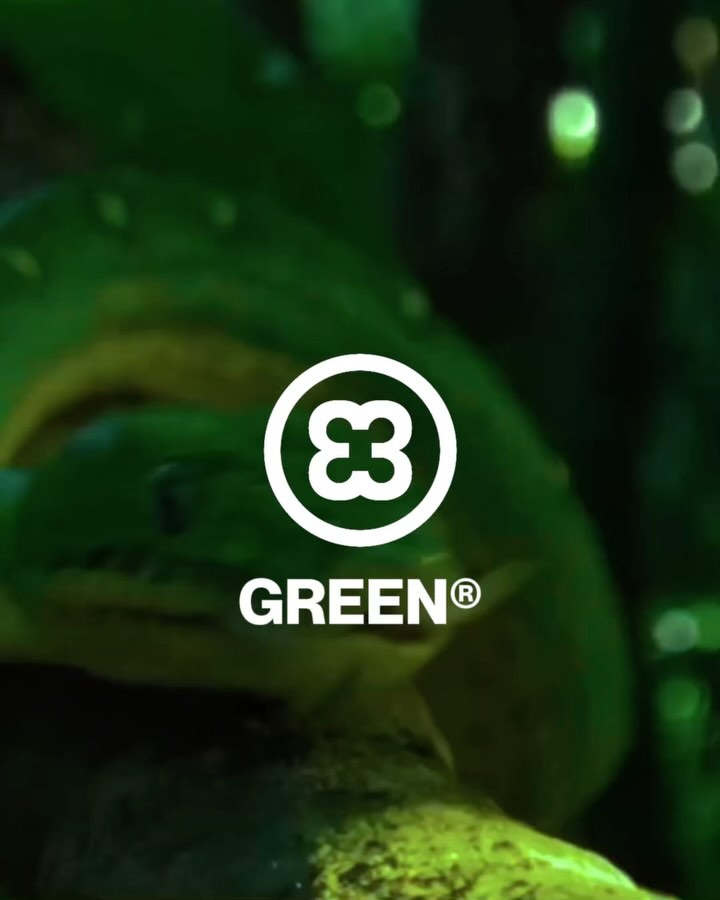 GREEN®
Indompté. Non filtré. SAUVAGE.
🌴 Disponible dès maintenant sur vinylacy.com
Qui ose entrer dans la jungle ?
#PressedByVinylacy