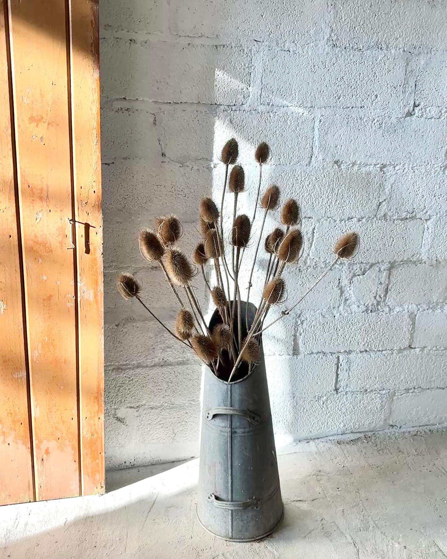 Wishing everyone a wonderful weekend in this exceptional weather!
I’ve been collecting some natural furniture accessories as I go. This week’s find: a bundle of dried teasel, spiky and sculptural, adding a touch of wild elegance to the space. The earthy texture stands out—raw, organic, and perfectly imperfect.
Little by little, the studio is becoming a quiet blend of nature and design.
Interiors are embracing a slower, more grounded aesthetic—think tactile materials, natural forms, and subtle imperfections. It’s less about perfection, more about presence. Pieces like this aren’t just decor; they’re reminders to slow down and reconnect with the natural world, even indoors.
#studioupdate #smallindependantbusiness #furniturerestoration #furnituremakeover #ukinteriors #recyclingproject #britisheconomy #furniturerefinishing #vintageinterior #homefurnishings #bespokeinteriors #sustainableinteriors #interiordesign #homefurniture #interiorproject #avoidinglandfill #midcenturymodern #scandinavianfurniture #furnitureflip #antiqueinteriors #furnituredesign #furniture #naturesaesthetic #naturescolours #driedteasel #teasel